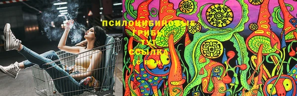 винт Алексин
